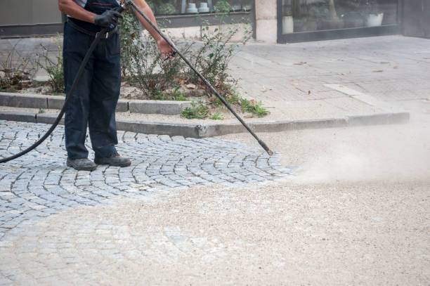Best Pre-Holiday Cleaning  in Hawthorn Woods, IL